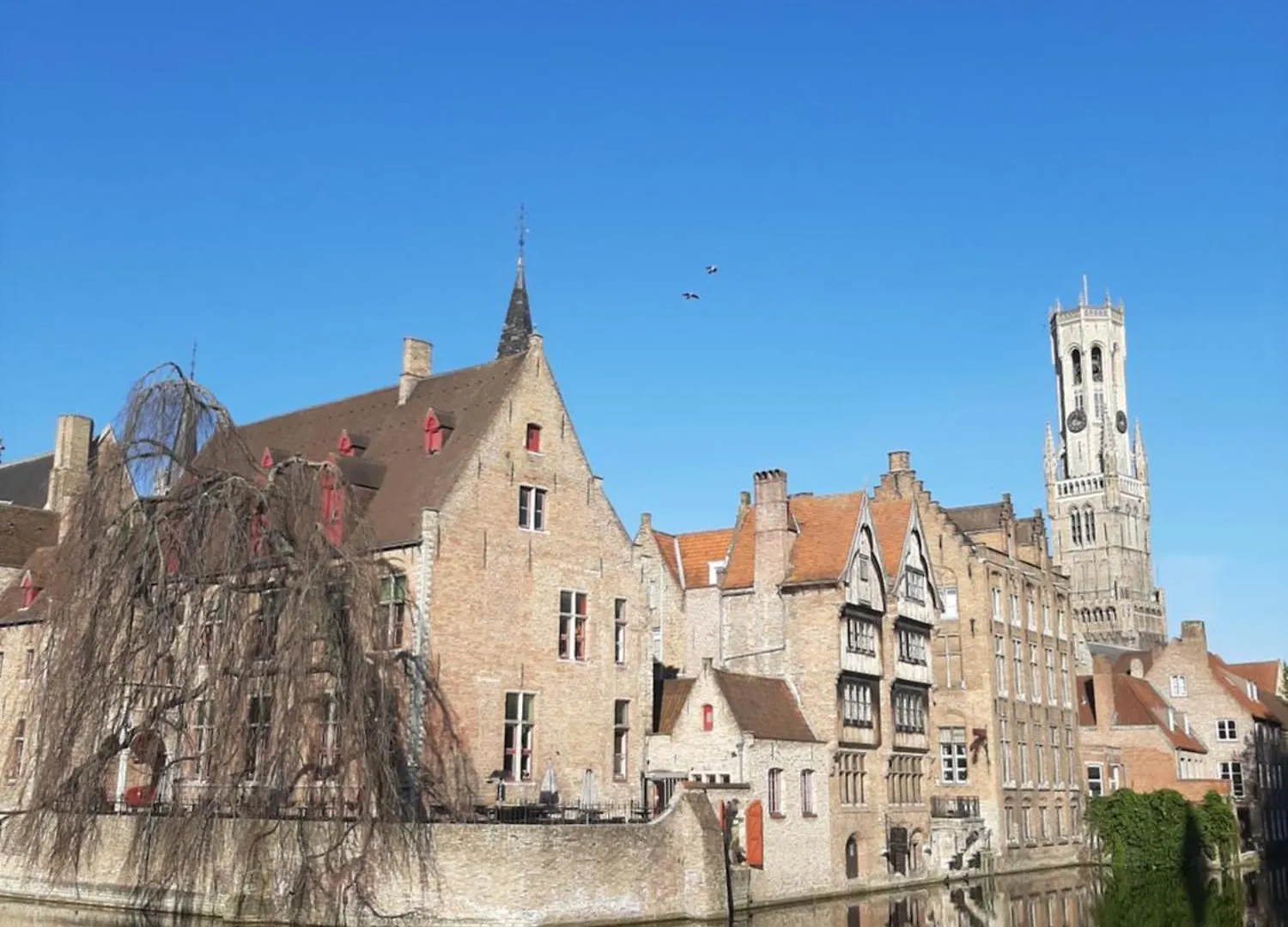 Hotel Chez Clochette Bruges Affittacamere